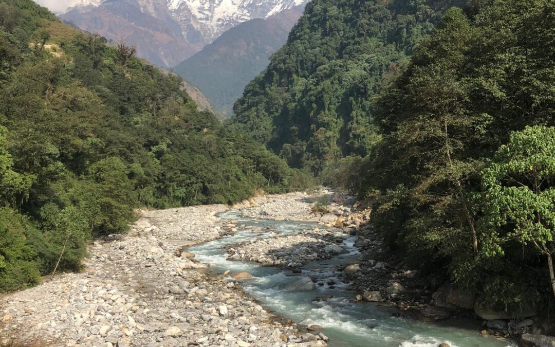 2019 Nepal