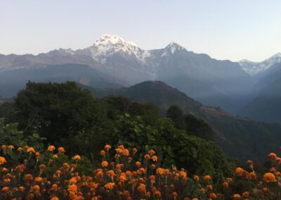 2017 Nepal